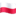 Od Słów do Czynów - biwak, który wzmacnia polskość na emigracji
